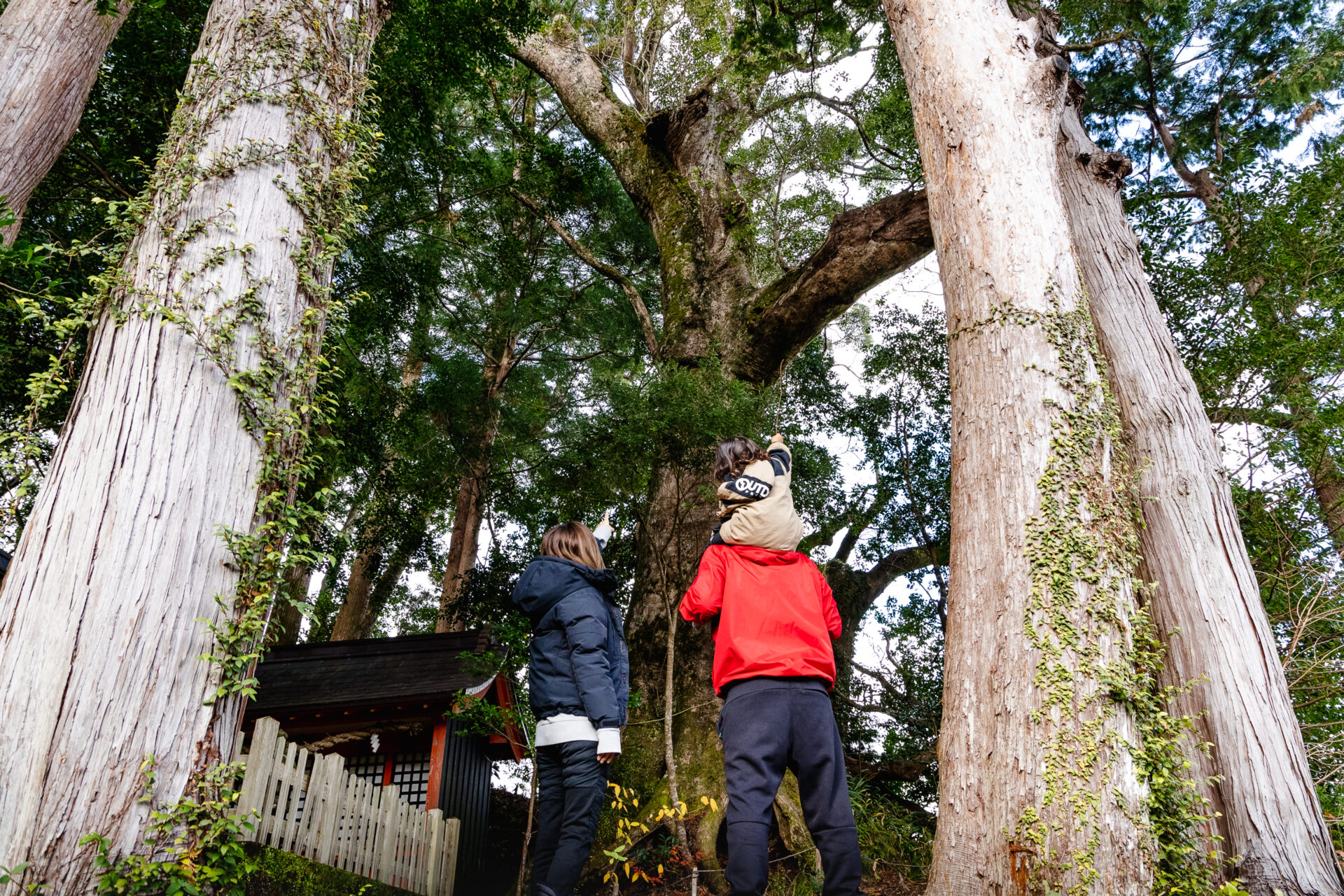 What clothes, shoes, and belongings should you take with you to Kumano Kodo? Introducing seasonal equipment!